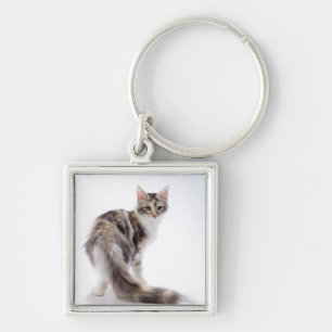 Maine Coon cat Key Ring