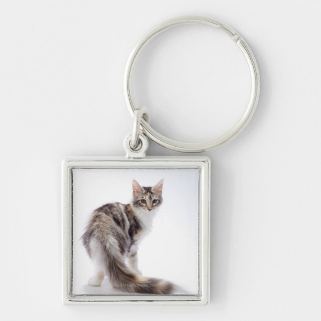 Maine Coon cat Key Ring (Front)