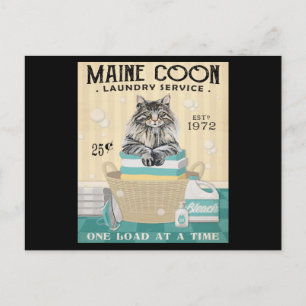 Maine Coon Cat Laundry Company 2 Postcard
