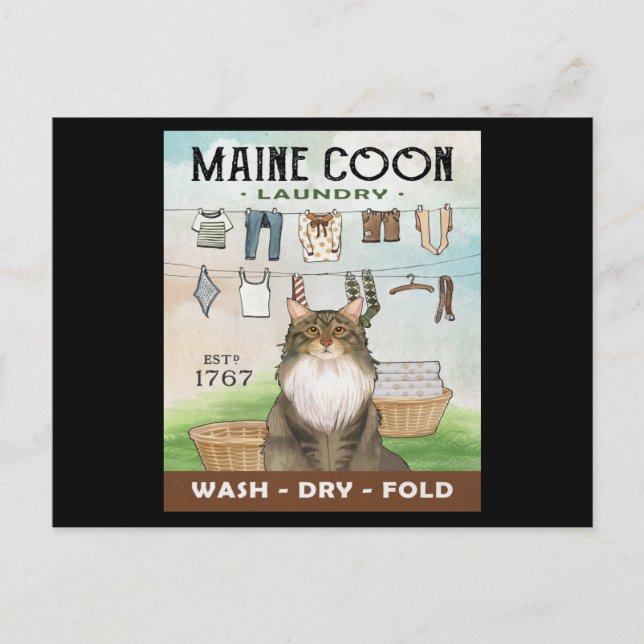 Maine Coon Cat Laundry Company Postcard (Front)
