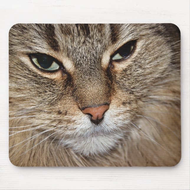 Maine Coon Cat Macro Mouse Mat (Front)