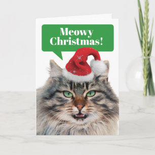 Maine Coon Cat- Meowy Christmas Happy Mew Year Holiday Card