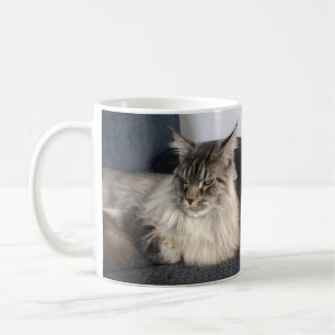Maine Coon Cat Mug