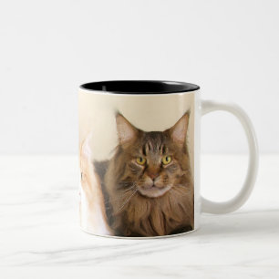 Maine coon Cat mugs