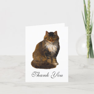 Maine Coon Cat Painted Portrait Art Thank You
