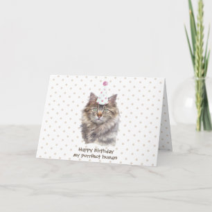 Maine coon Cat party hat celebrate birthday Card