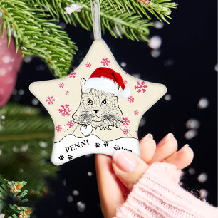 Maine Coon Cat Personalised Hand Drawing Ceramic Tree Decoration