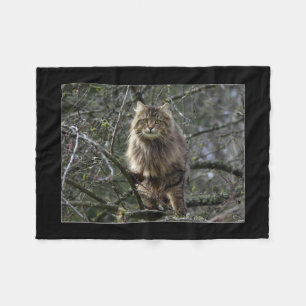 Maine Coon Cat Pet Fleece Blanket