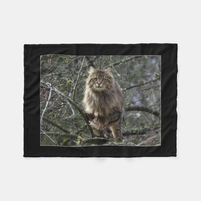 Maine Coon Cat Pet Fleece Blanket (Front (Horizontal))