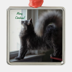 Maine Coon Cat Photo Metal Tree Decoration