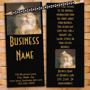 Maine Coon Cat Photograph Rack Card