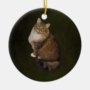 Maine Coon Cat Portrait Ceramic Tree Decoration