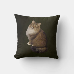 Maine Coon Cat Portrait Cushion