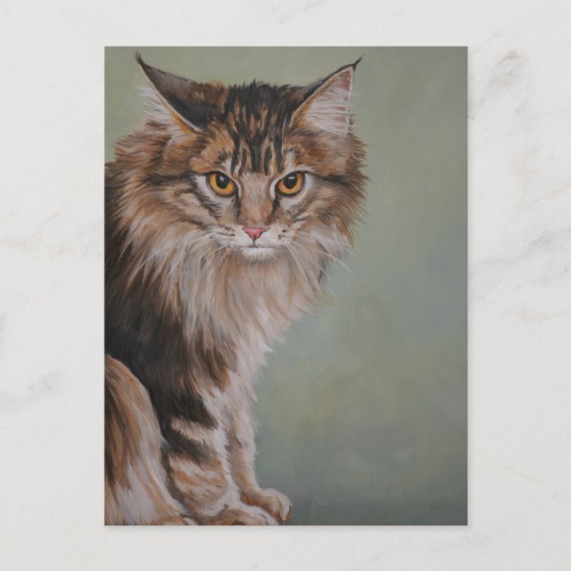 Maine Coon Cat Postcard (Front)