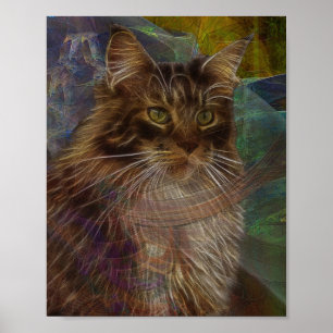 Maine Coon Cat - Rectangular Art Poster
