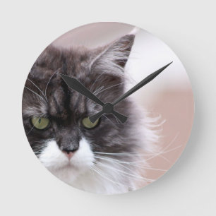 Maine Coon Cat Round Clock