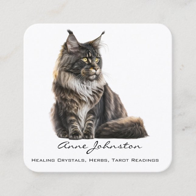 Maine Coon Cat Square Business Card (Front)