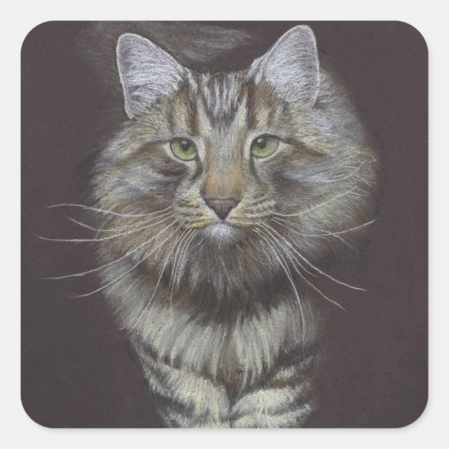 Maine Coon Cat Square Sticker (Front)