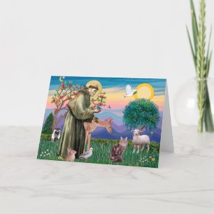Maine Coon Cat  - St Francis Card