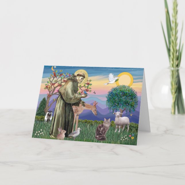 Maine Coon Cat  - St Francis Card (Front)