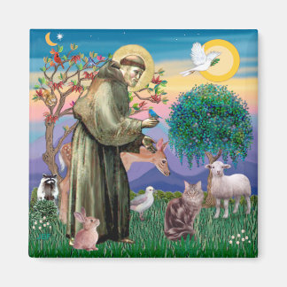 Maine Coon Cat  - St Francis Magnet