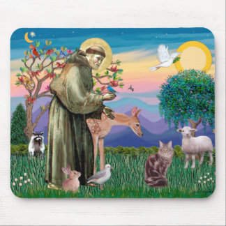 Maine Coon Cat  - St Francis Mouse Mat