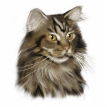 Maine Coon Cat Standing Photo Sculpture<br><div class="desc">A beautiful Maine Coon cat.</div>