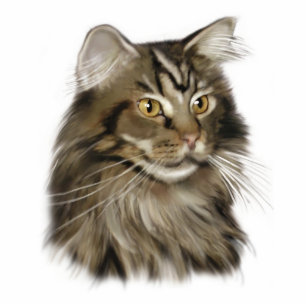 Maine Coon Cat Standing Photo Sculpture