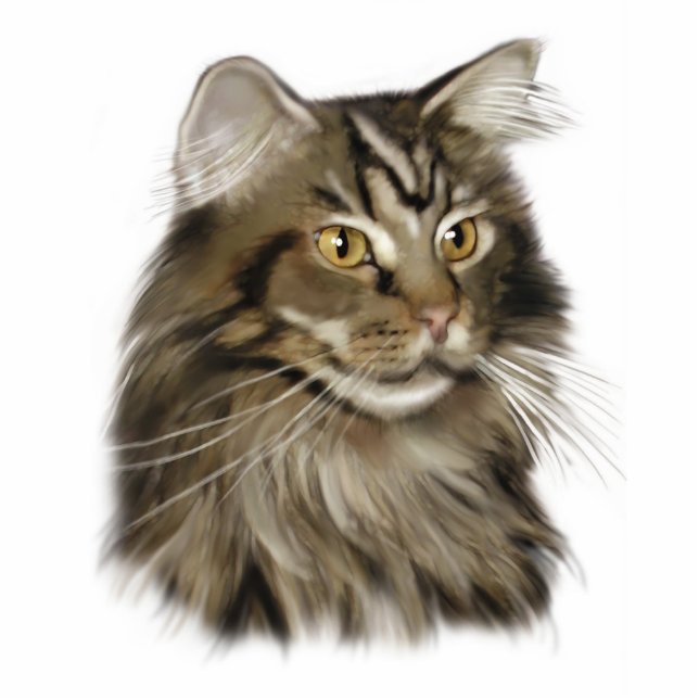 Maine Coon Cat Standing Photo Sculpture (Front)