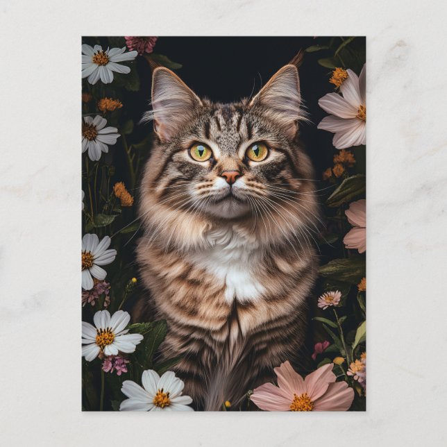 Maine Coon Cat Surrounded by Flowers Postcard (Front)