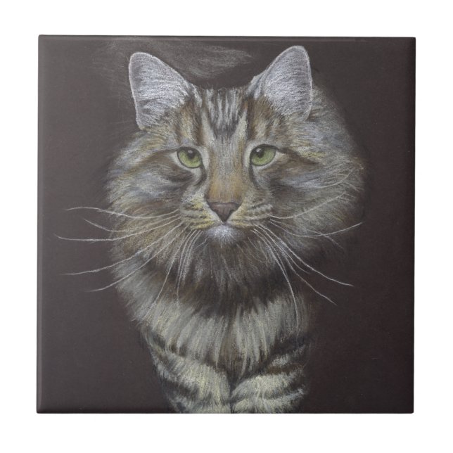Maine Coon Cat Tile (Front)