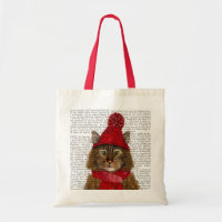 Maine Coon Cat