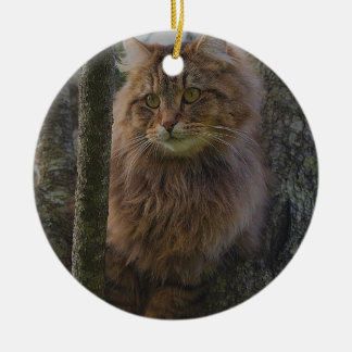 Maine Coon Cat - Tree Cat Ceramic Tree Decoration