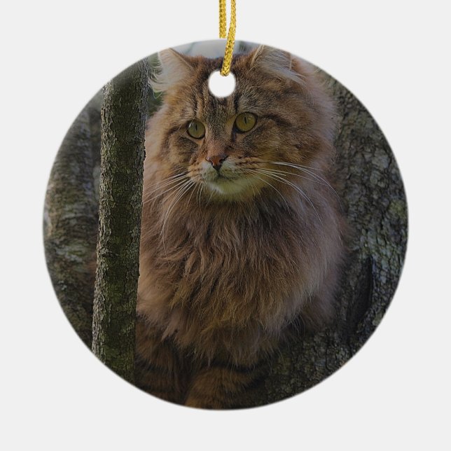 Maine Coon Cat  -  Tree Cat Ceramic Tree Decoration (Front)