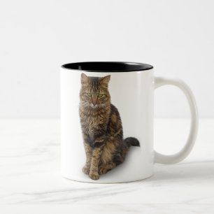 Maine Coon Cat Two-Tone Coffee Mug