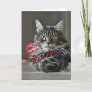 Maine Coon Cat Valentine's Greeting Card