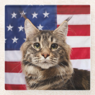 Maine Coon Cat With American Flag Glass Coaster