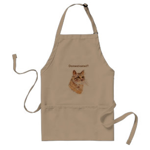 Maine Coon Cat With Attitude:  Domesticated? APRON
