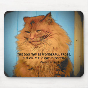 Maine Coon Cat with French Poverb Mouse Mat