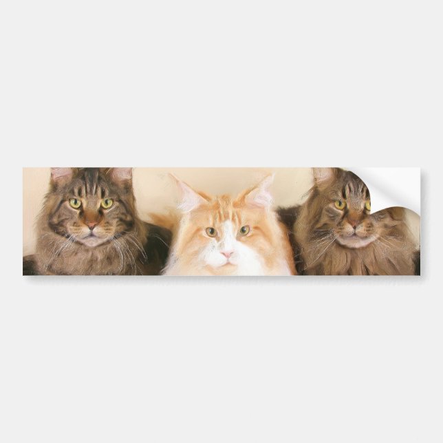 Maine coon Cats bumper sticker (Front)