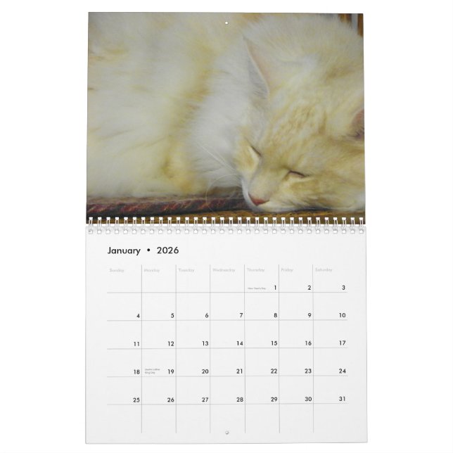 Maine Coon Cats Calendar (Jan 2026)