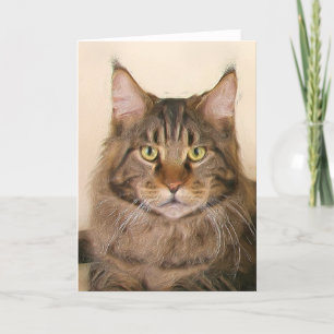 Maine coon Cats greeting card