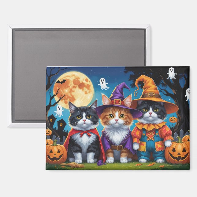 Maine Coon Cats Pumpkin Halloween Funny Magnet (Front/Back)