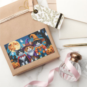 Maine Coon Cats Pumpkin Halloween Funny Rectangular Sticker