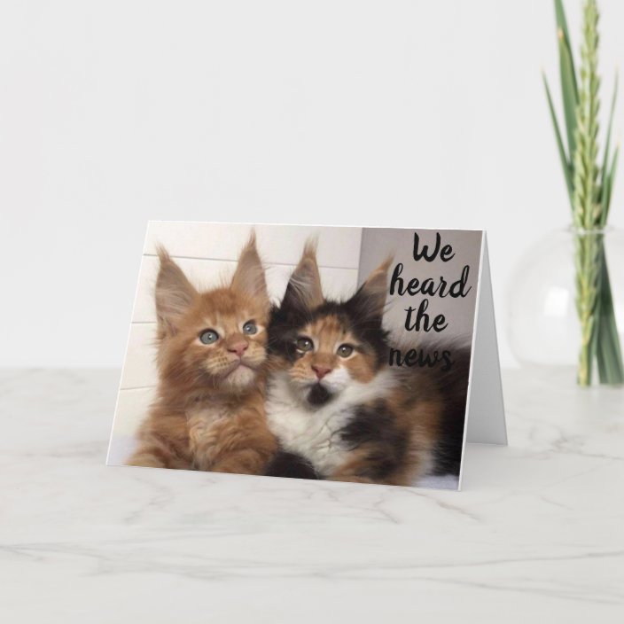 MAINE COON CATS SAY **30** HAPPY BIRTHDAY CARD | Zazzle.co.uk
