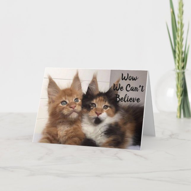 MAINE COON CATS SAY **40?** YOU? BIRTHDAY CARD (Front)