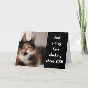 MAINE COON CATS SAY **40?** YOU? BIRTHDAY CARD