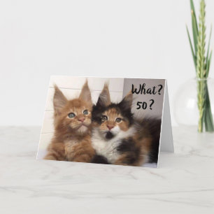 MAINE COON CATS SAY **50?** YOU? BIRTHDAY CARD