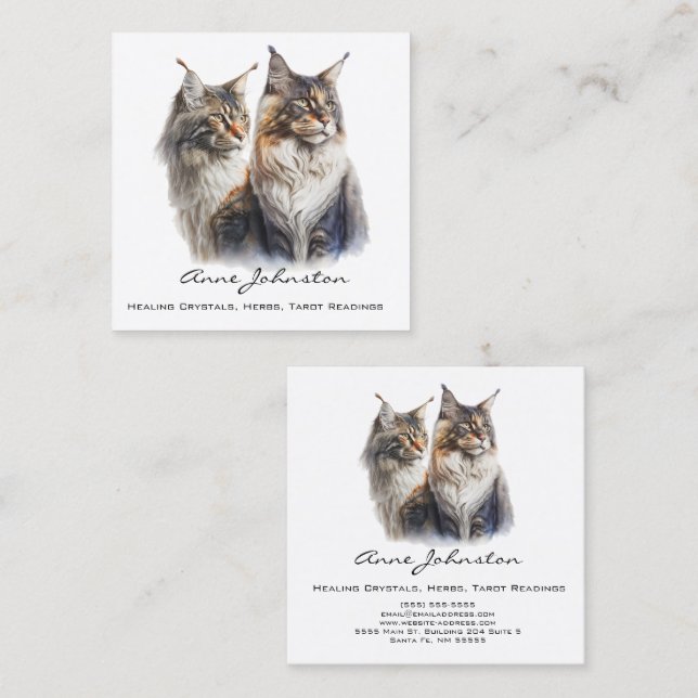 Maine Coon Cats Square Business Card (Front/Back)