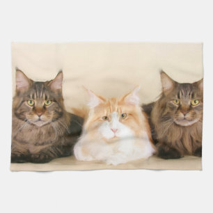 Maine Coon Cats Tea Towel